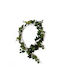 Supergreens Ghirlandă Artificială Ivy Nouvella Verde 180 Cm