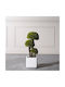 Supergreens Uv Künstlicher Bonsai Baum Moss mushroom Dreifach Grüne 70 cm