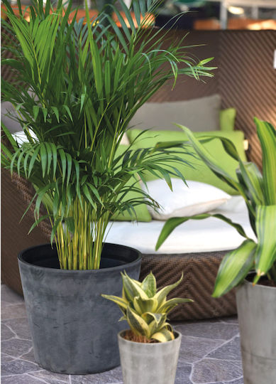 ArtPlast Pot Plastic Charcoal ArtPlast Pot Plastic Charcoal