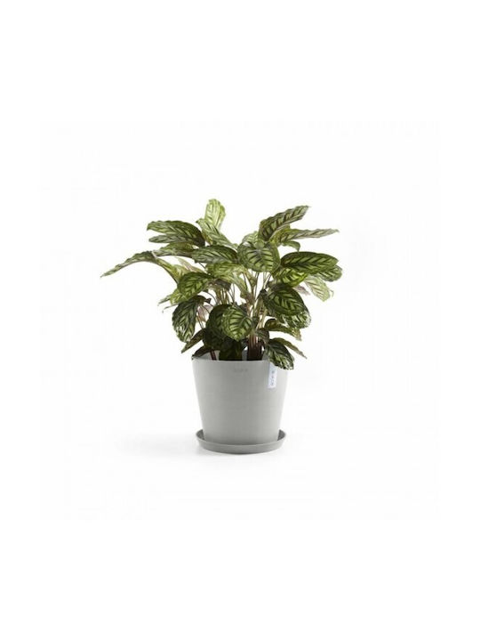 Ecopots Amsterdam Γλάστρα Γκρι