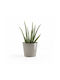 Ecopots Amsterdam Mini Γλάστρα Taupe