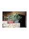 Telcom Blumenkasten Kunststoff Charcoal 60x30x26cm.