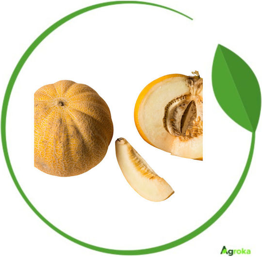 Agrogen Семена Пъпеш Закинтос 20гр