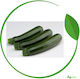 Syngenta Seeds Pumpkinς Zucchini 1000pcs