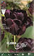 Flora Elite Zwiebeln Tulpeς Schwarz 5Stück
