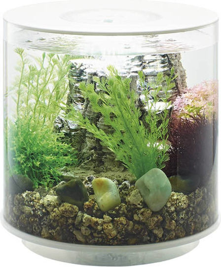 Oase Biorb Tube 15 Led Nano-aquarium Set Fish Aquarium Capacity 15lt with Lighting and 32.8x31x31cm White