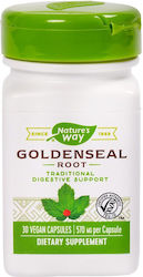 Goldenseal Dietary Supplement 570mg Nature's Way Secom 30 Capsules Goldenseal Dietary Supplement 570mg Nature's Way Secom 30 Capsules