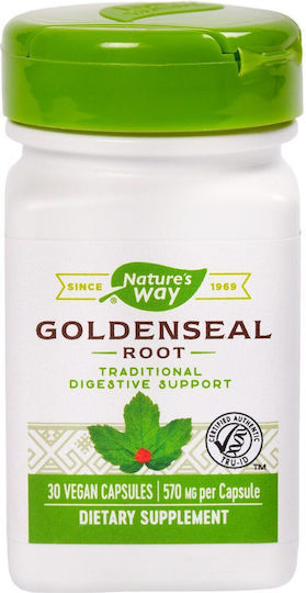 Goldenseal Dietary Supplement 570mg Nature's Way Secom 30 Capsules