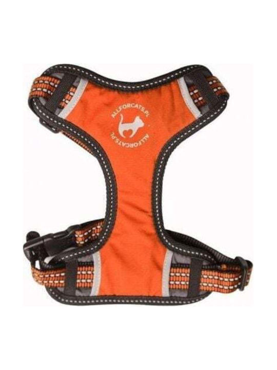 All Dogs All Cats Hamuri Sportive Xs Portocalii