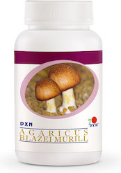 DXN Agaricus Blazei Murill DXN Agaricus Blazei Murill