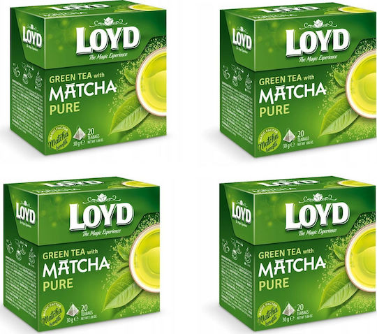 Loyd Tea Loyd Matcha Pure 80 Pyramid Bags