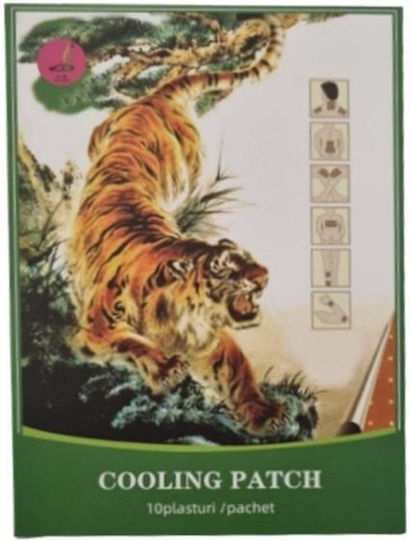 Antirheumatisches Pflaster 10 Stück/Box Naturalia Diet