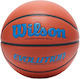 Wilson Evolution Pro Mingea de baschet Interior