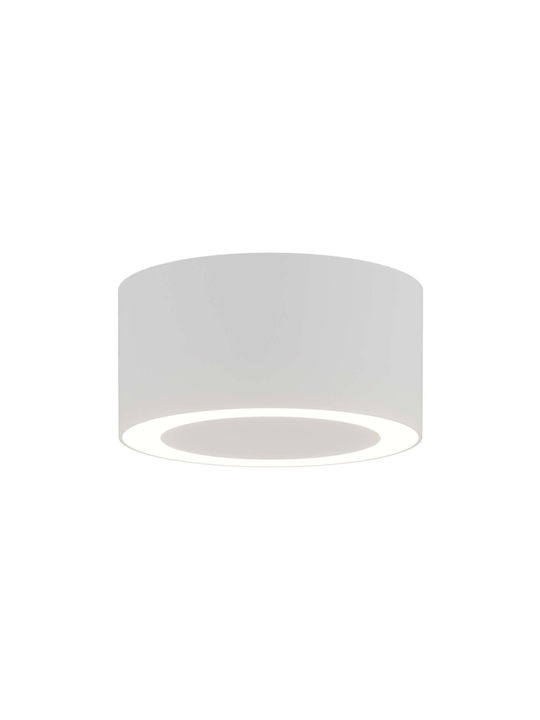 Zambelis Lights LED Warm White Spot in White Color