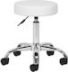 Salon Stools Scaun