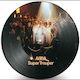 Abba Super Trouper Picture Disc 1 Vinyl