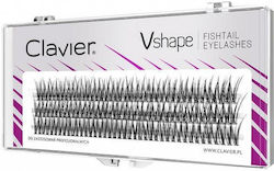 Clavier Tufts