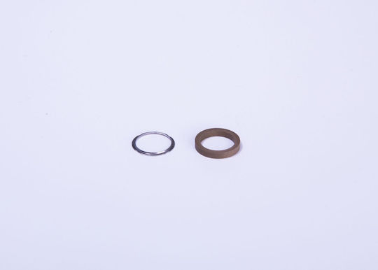 Repair Kit Bosch Common-rail System F 00v C99 002