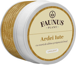 Unguent Cu Ardei Iute Antiinflamator Antireumatic Faunus Plant 50 Ml