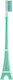 Pylones Οδοντόβουρτσα Turquoise
