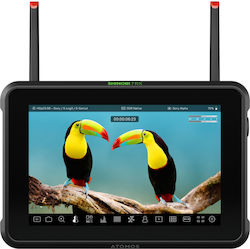 Atomos Shinobi 7 Rx Hdmi Sdi Monitor & Receiver