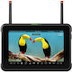 Atomos Shinobi 7 Rx HDMI SDI Monitor & Receiver