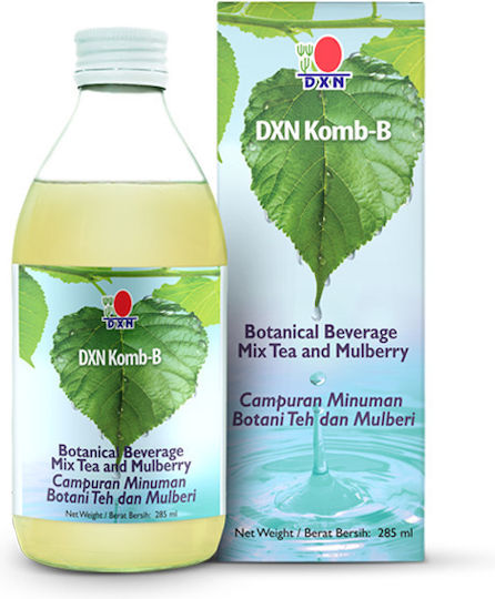 DXN Eistee Ohne Kohlensäure, Biologisch FB231-med 285ml