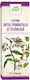 Comfrey Buttercup Body Lotion 200 Ml Dorel Plant