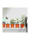 vidaXL Keramik Blumentopf Orange 15x15x12,5cm