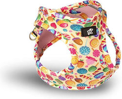 Glee Ham Pentru Câine Tip Step In Candies X-Small 28-32cm