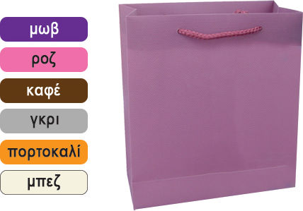 AGC Geantă Din Plastic Pentru Cadou 26x12x34cm 12 Bucăți (Culori Diverse)