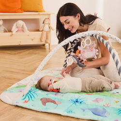 Lionelo Anika Baby Gym for Newborns