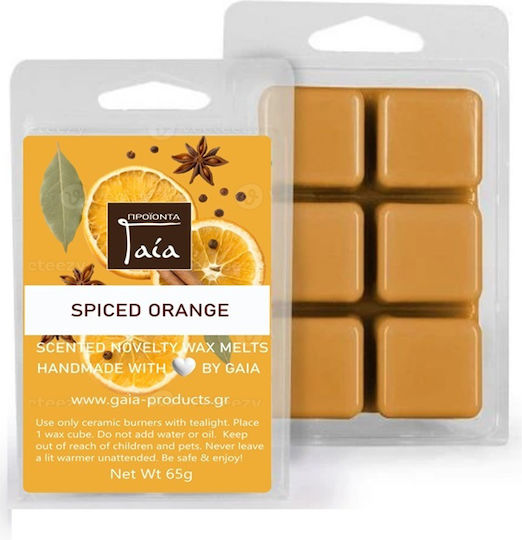 Gaia Products Parfum de Cameră cu Aromă Nucă de cocos 65gr