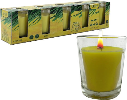 ArteLibre Lemongrass Αρωματικό σε Βάζο Lemongrass 5τμχ