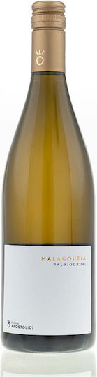 Ktima Apostolidi Organic Wine Paleochori Malagouzia White Dry 750ml
