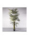 Supergreens Artificial Fern Tree 260 Cm 6-0828