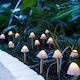 Lampă Solară Led Garden Eden 12 Bucăți Mini Ciuperci Alb Cald 24 Cm X 4 M