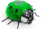 Solar Ladybug Lamp Green 14.5 X 12 X 6 Cm 6 Warm White LEDs