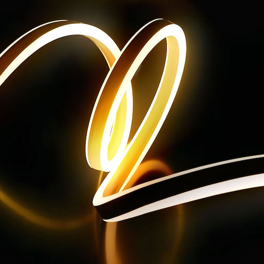 Alista Home Rezistent la apă Bandă LED Alb Cald Lumină 5m Neon Flex cu Sursă de alimentare & Telecomandă