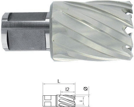 Hss Weldon Shank Carrot 3/4'' Length 30 Mm Dim 30.0