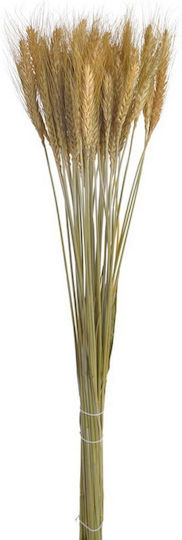 Getrocknete Natürliche Strohhalme 60cm