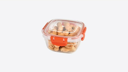 Dunya Food Container 500ml Dunya Food Container 500ml