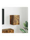 Wand Wohnzimmer Vitrine aus Spanplatte Rauch Eiche 30x31x40cm