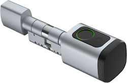 Avatto Electronic Silver Lock