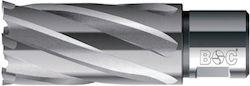 Hm Flat Carrot Weldon Coada 3/4'' Lungime 55 Mm Diametru 24.0