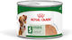 Royal Canin Nassfutter Hunde 12x195gr