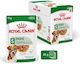 Royal Canin Mini Ageing 12+ Hrana Umedă Pentru Câini Seniori În Conservă Cu Carne Și Păsări De Curte 12x85gr