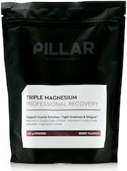 Pillar Performance Pillar Triple 400gr Pillar Performance Pillar Triple 400gr
