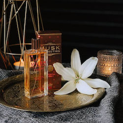 Musk Collection Oriental Night Musk Collection Oriental Night