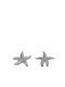 Decorative Tabletop Starfish Polyresin Silver Espiel Assort 9x9x1.5cm Mt2740k6 Set 6 Pieces Material Polyresin Silver Espiel Mt2740k6
